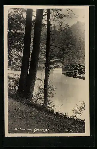 AK Dornbirn, Partie am Staufensee