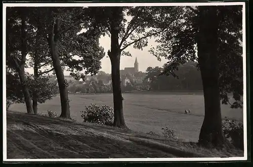 Fotografie Brück & Sohn Meissen, Ansicht Dahlen i. Sa., Blick vom Waldweg nach der Stadt