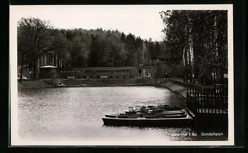 AK Meerane i. Sa., Blick auf den Gondelteich