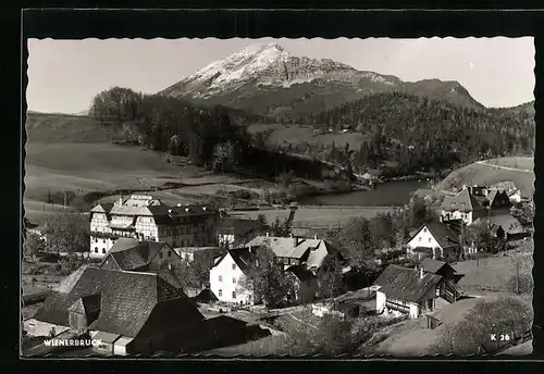 AK Wienerbruck, Ortsansicht mit Bergpanorama