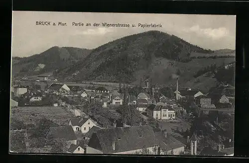 AK Bruck an der Mur, Partie an der Wienerstrasse und Papierfabrik