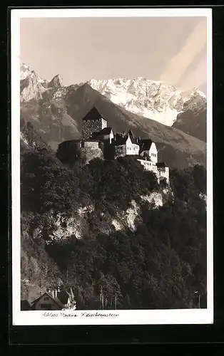 AK Vaduz, Schloss Vaduz mit Umgebung