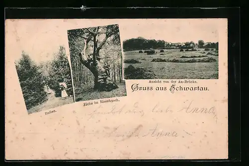 AK Schwartau, Italien, Eiche im Riesebusch, Ansicht von der Au-Brücke