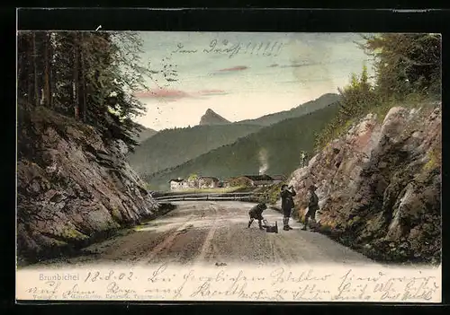 AK Brunbichel, Strassenpartie mit Blick auf den Ort