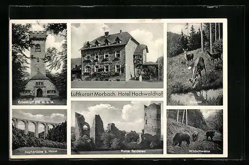 AK Morbach, Hotel Hochwaldhof, Ruine Baldenau