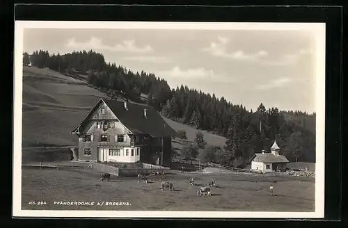 AK Bregenz, Hotel Pfänderdohle