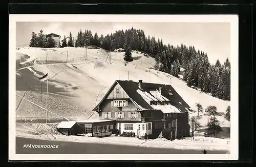 AK Bregenz, Pfänderdohle im Winter