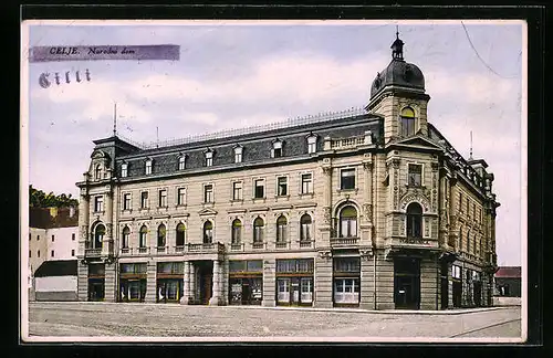 AK Celje, Narodni dom