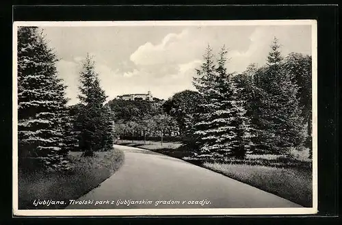 AK Ljubljana, Tivolski park z ljubljanskim gradom v ozadju