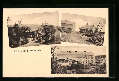 AK Nienthal i. Ostholstein, Ansichten vom Hof Nienthal