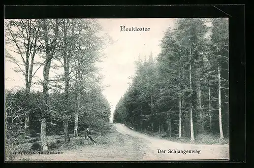 AK Neukloster, Waldpartie mit Schlangenweg