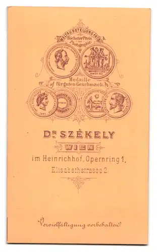 Fotografie Dr. Szekely, Wien, Portrait Gräfin Maria Tacoli-Wurmbrand im Samtkleid posiert im Atelier