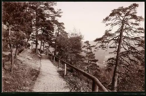 Fotografie Brück & Sohn Meissen, Ansicht Oybin, Partie auf dem Oybin am Bergringweg