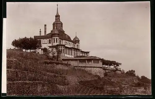 Fotografie Brück & Sohn Meissen, Ansicht Radebeul, Blick zum Spitzhaus