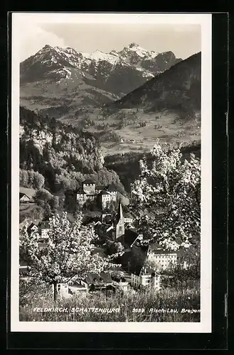 AK Feldkirch, Blick zur Schattenburg