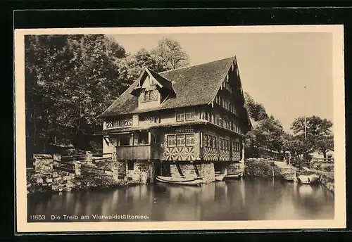 AK Treib am Vierwaldstättersee, Teilansicht am Wasser