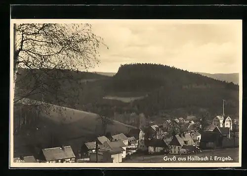 AK Hallbach im Erzgeb., Gesamtansicht aus der Vogelschau