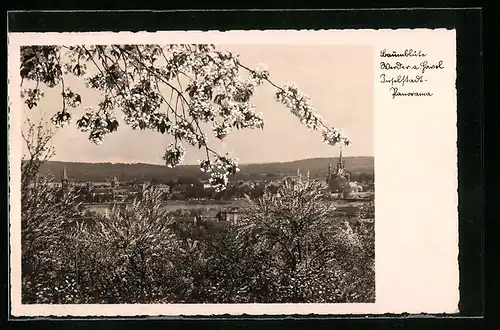 AK Werder / Havel, Panorama während der Buamblüte