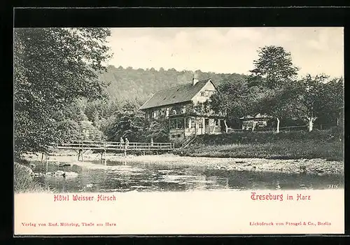 AK Treseburg i. Harz, Hotel Weisser Hirsch