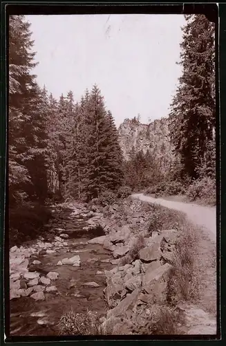 Fotografie Brück & Sohn Meissen, Ansicht Zöblitz i. Erzg., Partie mit Bach im Schwarzwassertal