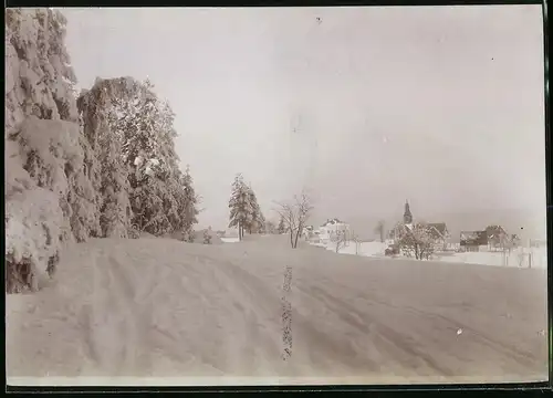 Fotografie Brück & Sohn Meissen, Ansicht Schellerhau i. Erzg., Partie am Waldesrand im Winter mit Blick zum Ort