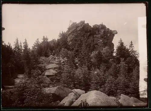 Fotografie Brück & Sohn Meissen, Ansicht Schierke, Blick auf die Feuersteinklippen