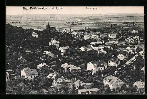 AK Bad Freienwalde a. O., Panorama aus der Vogelschau