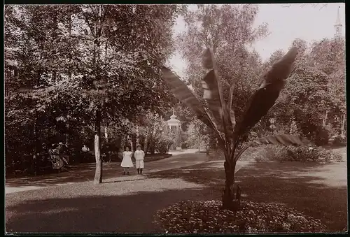 Fotografie Brück & Sohn Meissen, Ansicht Freiberg i. Sa., Partie im König Albertpark