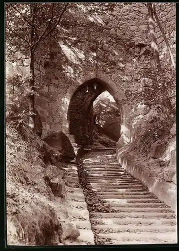 Fotografie Brück & Sohn Meissen, Ansicht Oybin, Partie am Aufgang zum Burgtor