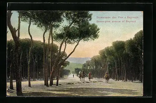 AK Beyrouth, Promenade des Pins