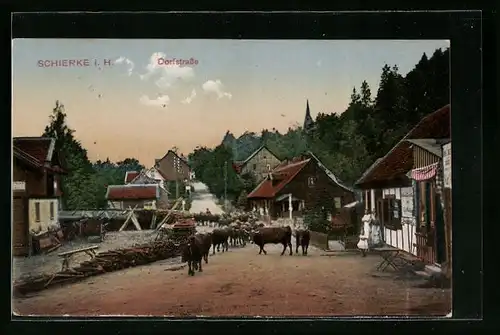 AK Schierke i. Harz, Dorfstrasse