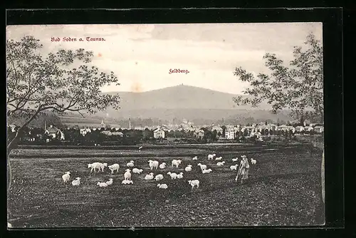 AK Bad Soden a. Taunus, Ortsansicht mit Feldberg