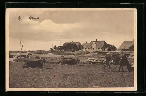 AK Hallig Oland, Gesamtansicht