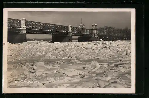 AK Wien, Eisstoss 1929, zugefrorener Fluss und Reichsbrücke