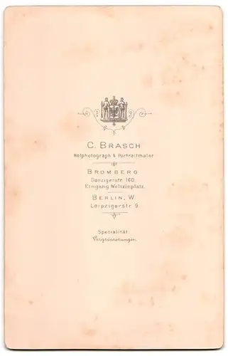 Fotografie C. Brasch, Bromberg, Danzigerstrasse 160, Bürgerliche Dame mit Kragenbrosche