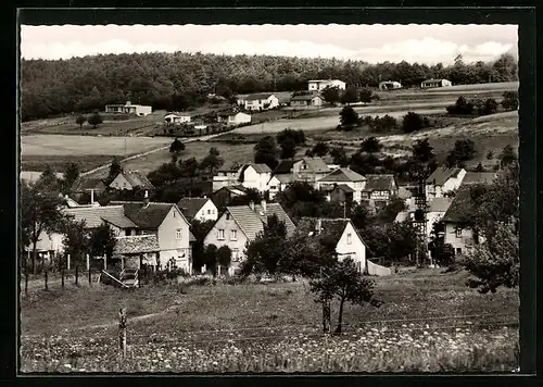 AK Hassenroth /Odenwald, Ortsansicht mit Gasthaus-Metzgerei Friedrich