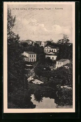 AK Fayal-Azores, In the valley of Flamengos