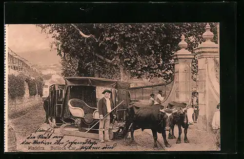 AK Madeira, Bullock Car, Ochsenkarren