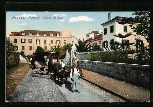 AK Funchal /Madeira, Carro de bois