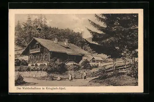 AK Krieglach-Alpel, Waldschulhaus mit Strasse