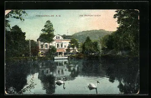 AK Freienwalde a. O., Am Papenteich