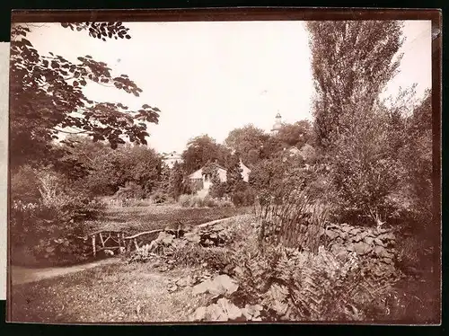 Fotografie Brück & Sohn Meissen, Ansicht Jena, Partie im Botanischen Garten, Blick zum Göthehaus