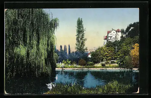 AK Gagry, Le parc saules pleureurs au bord de l`etang