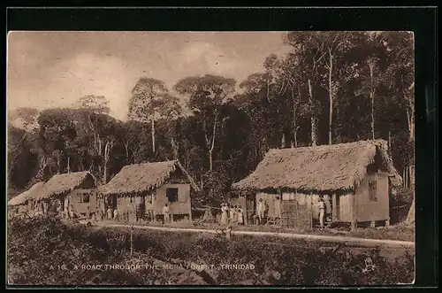 AK Trinidad, A Road through the Mora Forest