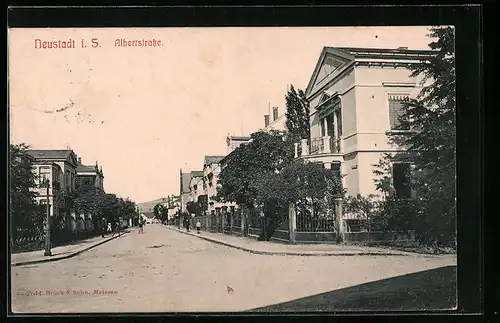 AK Neustadt i. Sa., Partie der Albertstrasse