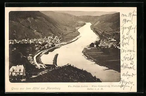 AK Bullay / Mosel, Blick vom Hotel zur Marienburg, Moselpartie aus der Vogelschau