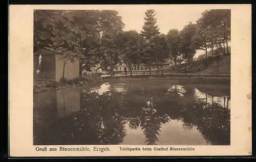 AK Bienenmühle /Erzgeb., Teichpartie beim Gasthof