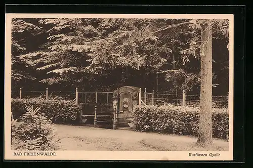 AK Bad Freienwalde, Kurfürsten Quelle