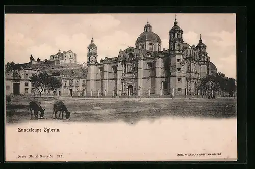 AK Guadeloupe, Iglesia, Burros