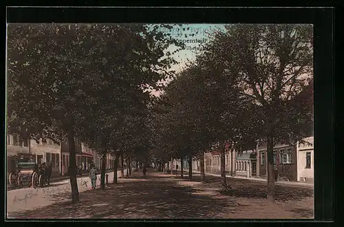 AK Schöppenstedt, Blick die Wilhelmstrasse hinunter